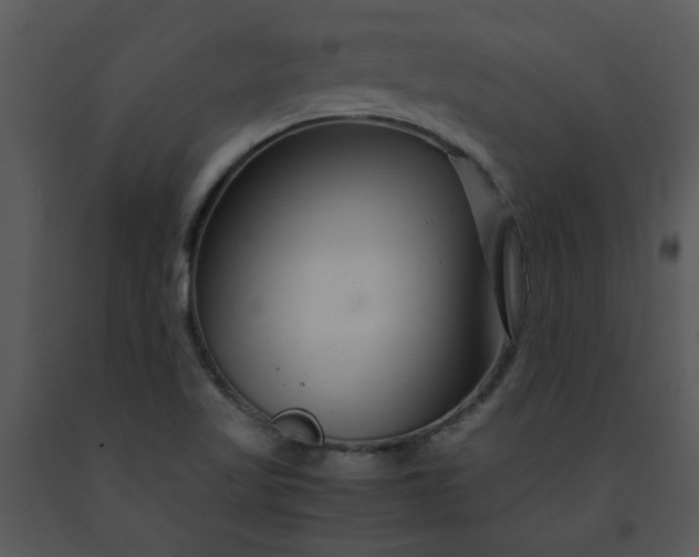 X0000091451509200708301759