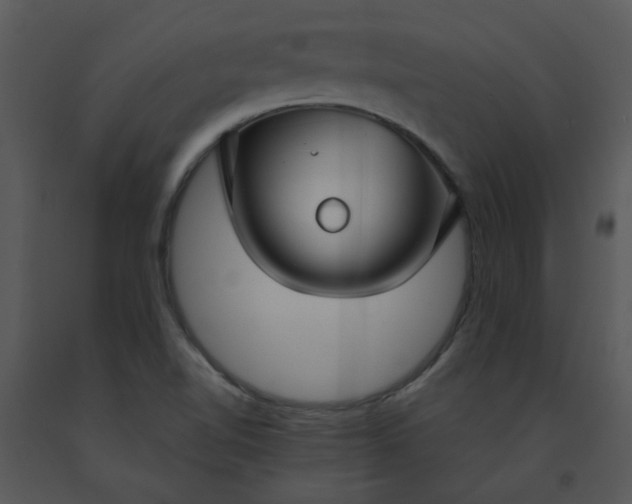 X0000091451510200708301759