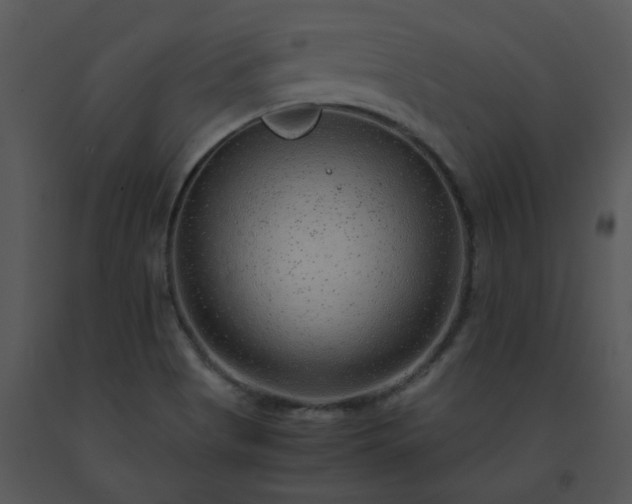 X0000091451513200708301759