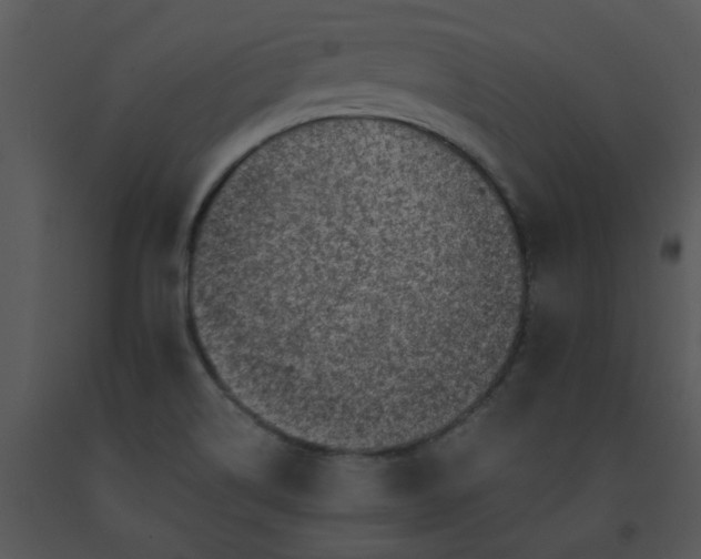 X0000091451514200708301759