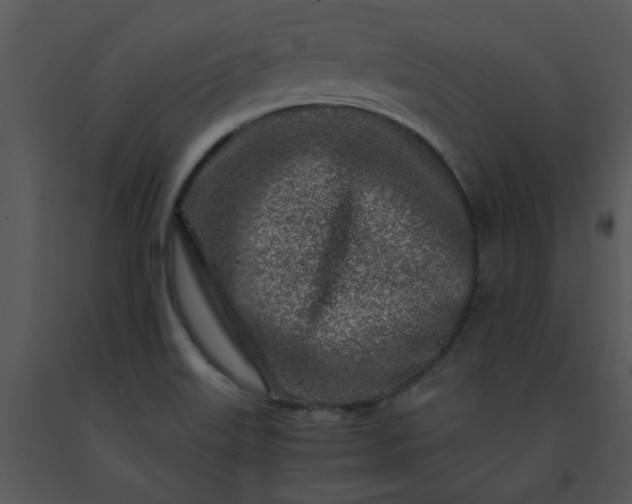 X0000091451515200708301759