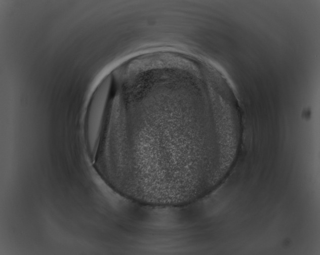 X0000091451516200708301759