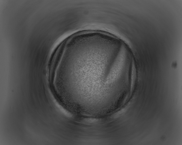 X0000091451517200708301759