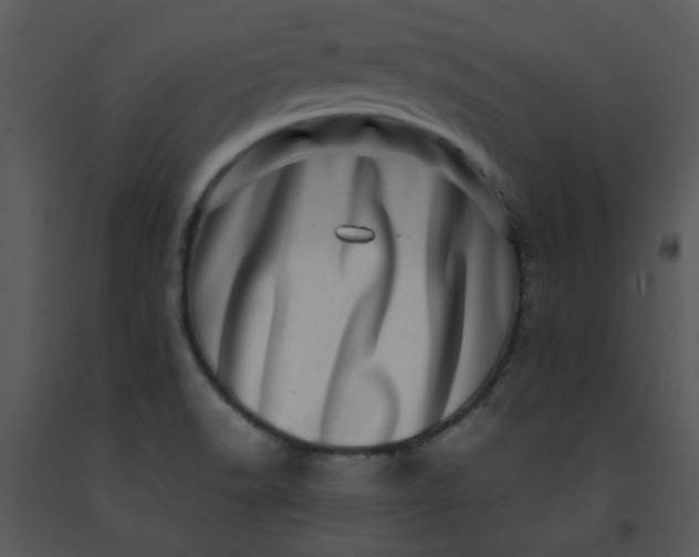 X0000091451518200708301759