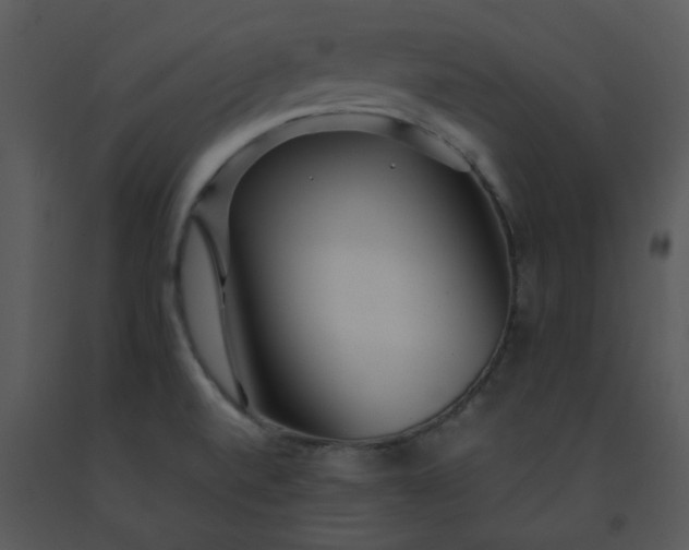 X0000091451520200708301759