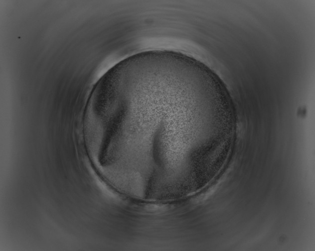 X0000091451521200708301759