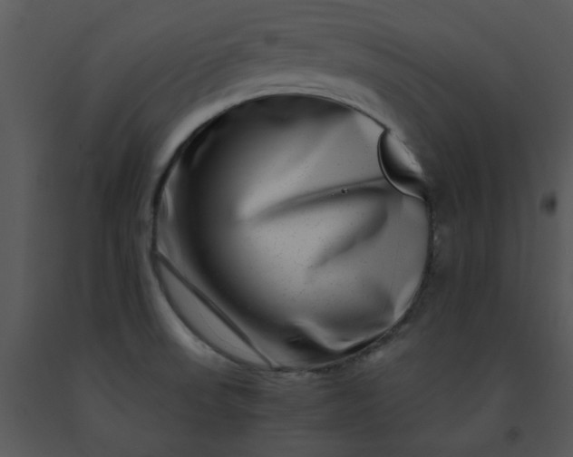 X0000091451523200708301759
