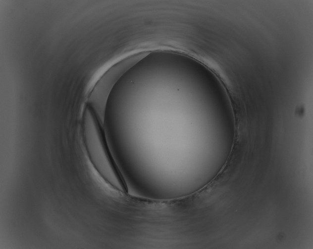 X0000091451524200708301759