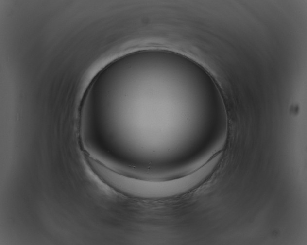 X0000091451527200708301759