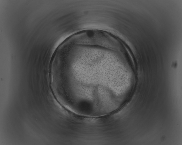 X0000091451529200708301800