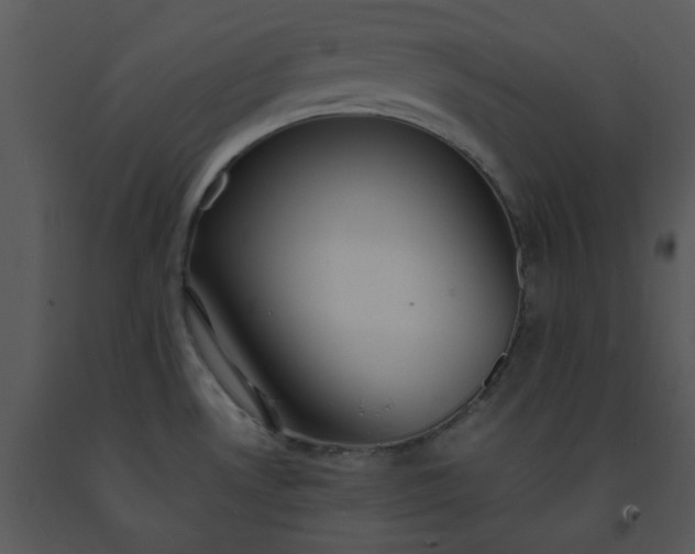 X0000091451530200708301800