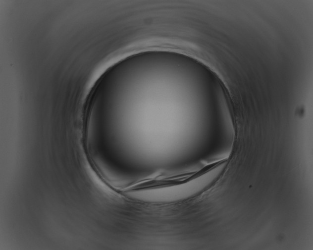 X0000091451531200708301800