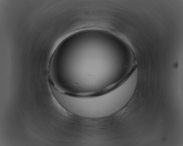 X0000091451532200708301800