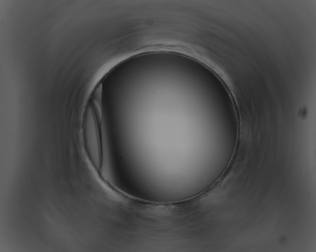 X0000091451533200708301800