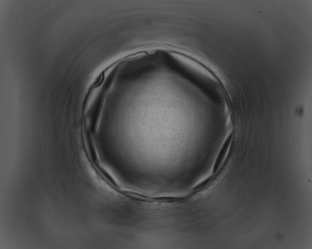 X0000091451534200708301800