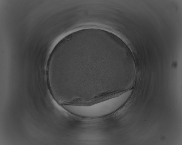 X0000091451535200708301800