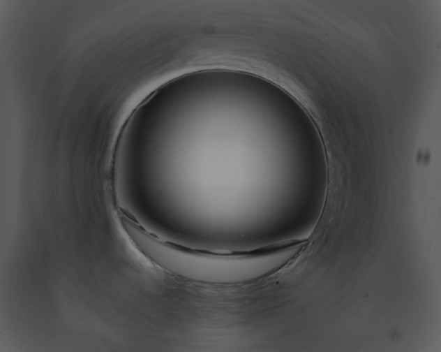 X0000091451536200708301800