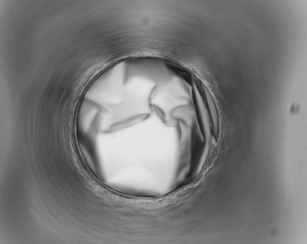 X0000091450001200709061745