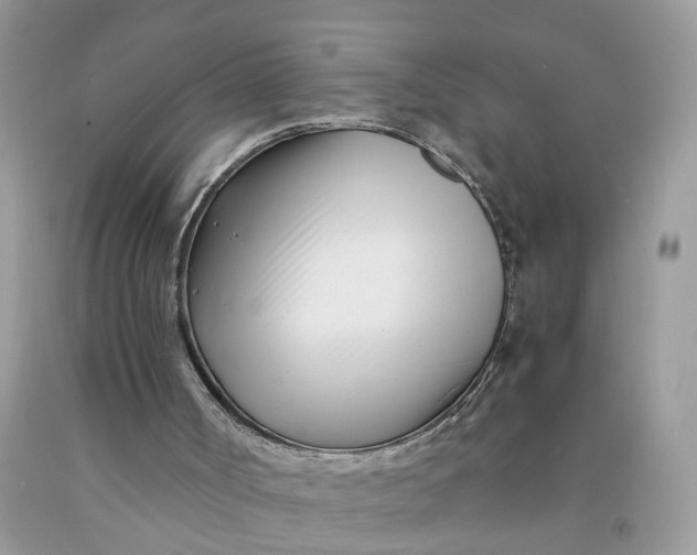 X0000091450002200709061745