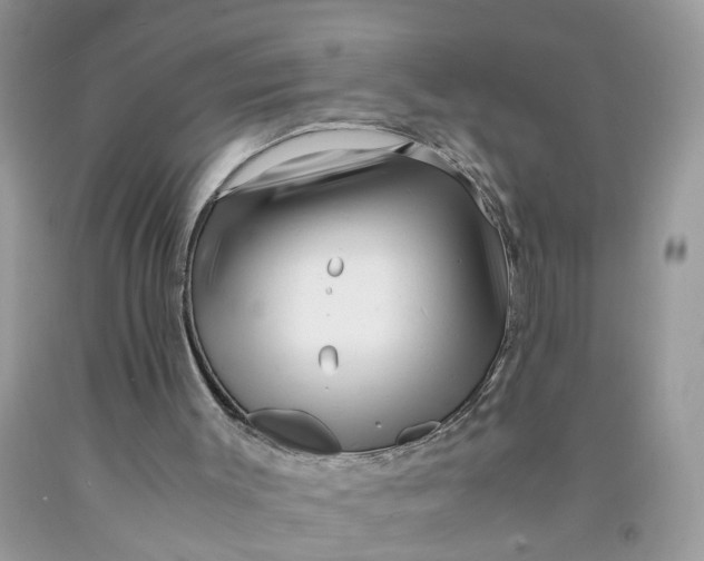 X0000091450003200709061745