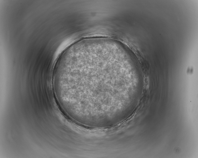 X0000091450004200709061745