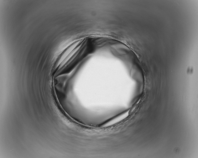 X0000091450005200709061745