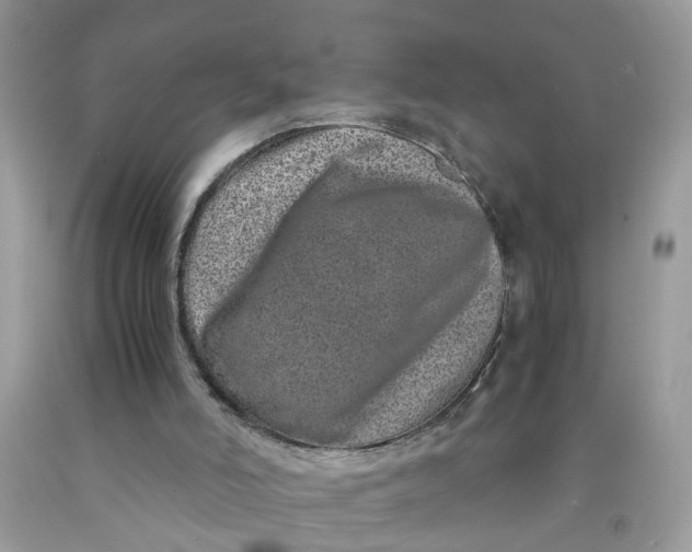 X0000091450006200709061745