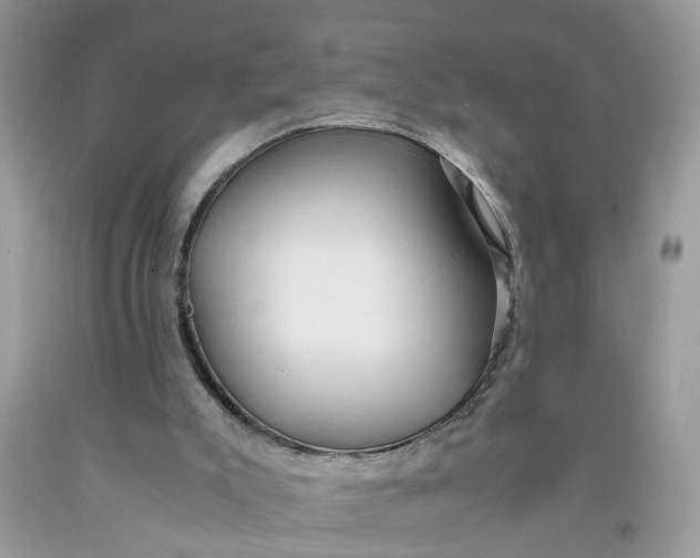 X0000091450007200709061745