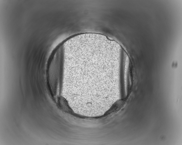 X0000091450008200709061745