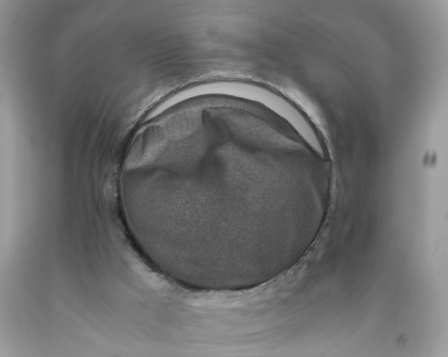 X0000091450009200709061745