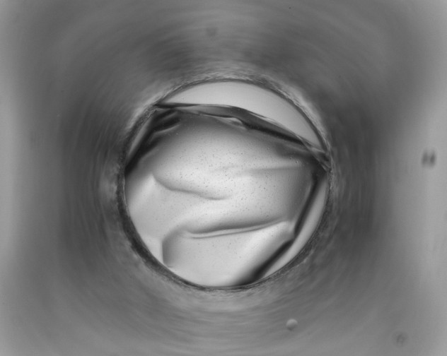 X0000091450010200709061745