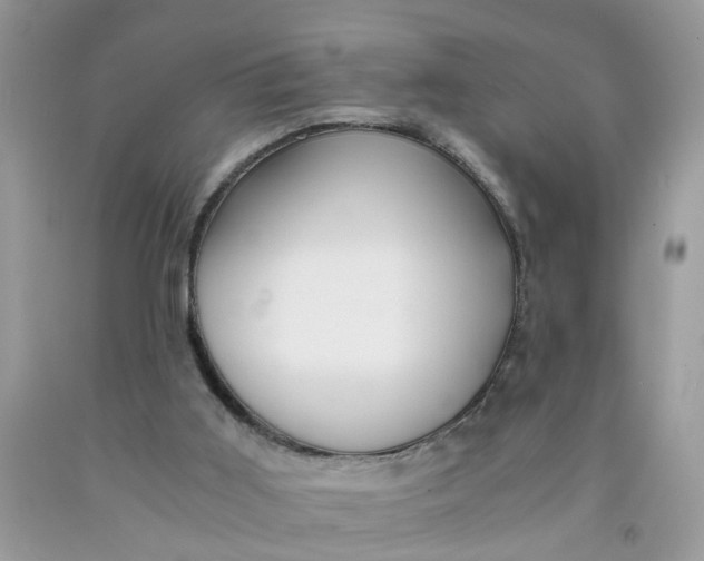 X0000091450011200709061745