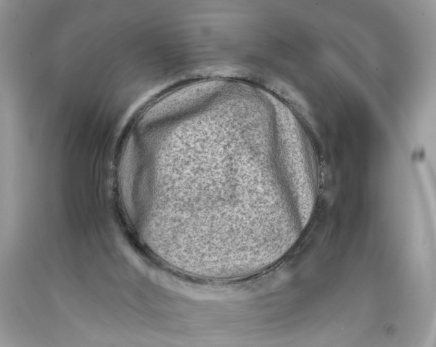 X0000091450012200709061745