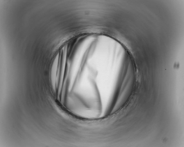 X0000091450013200709061745