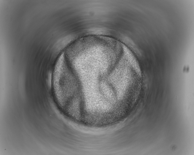 X0000091450014200709061745