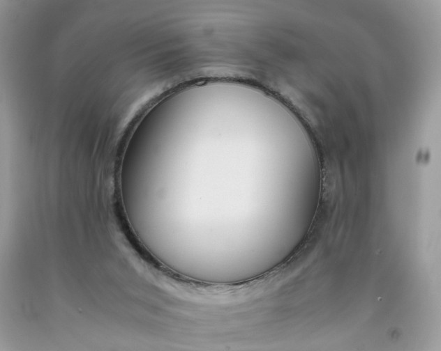 X0000091450015200709061745