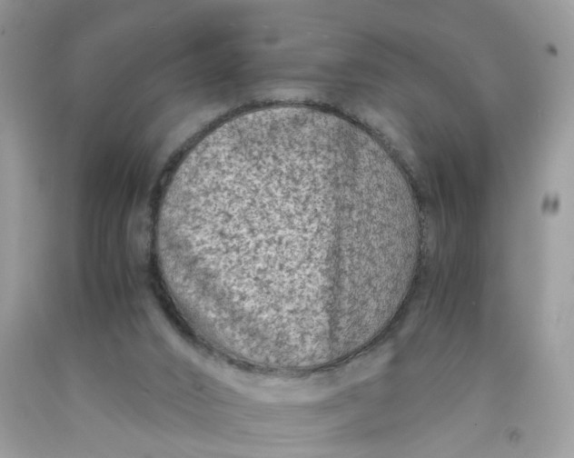 X0000091450016200709061745