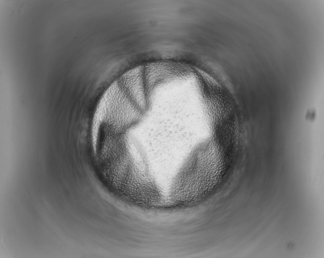 X0000091450018200709061745