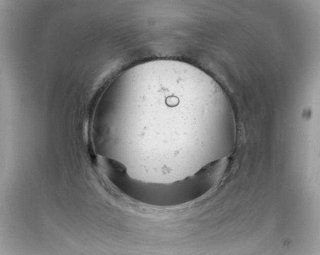 X0000091450019200709061745