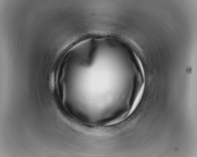 X0000091450020200709061745