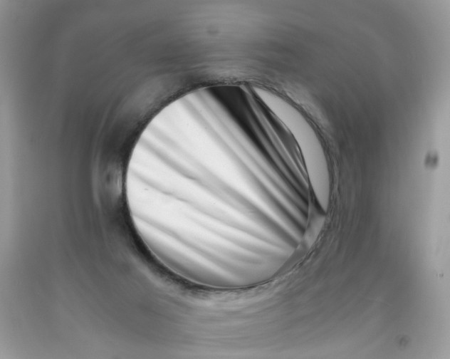 X0000091450021200709061745