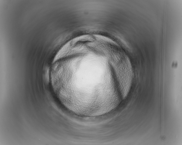 X0000091450022200709061745