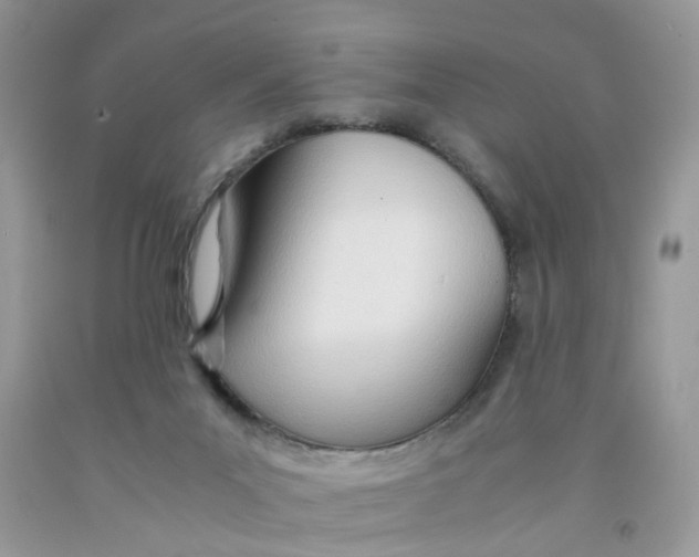 X0000091450023200709061745