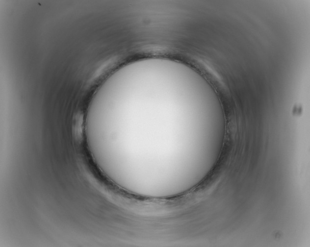 X0000091450024200709061745