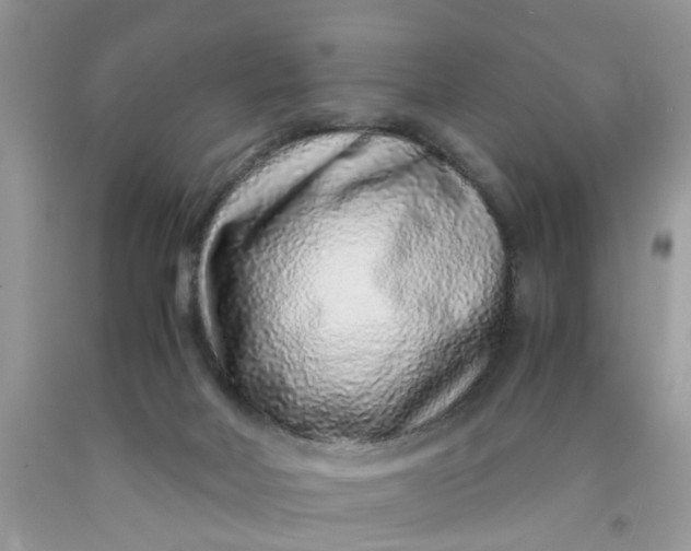 X0000091450026200709061744