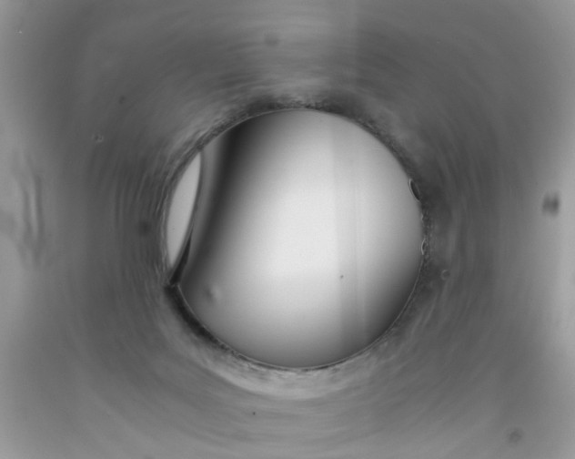 X0000091450027200709061744