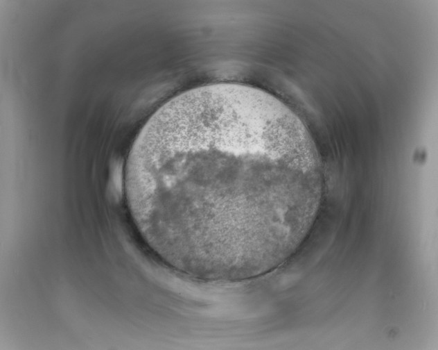 X0000091450028200709061744