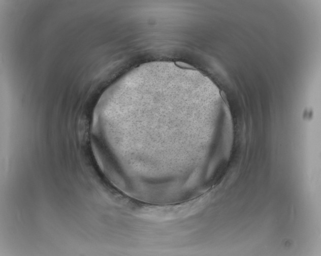 X0000091450029200709061744