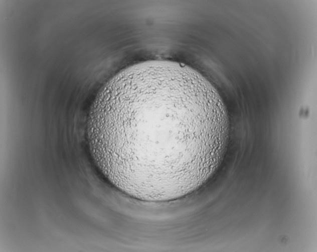 X0000091450030200709061744