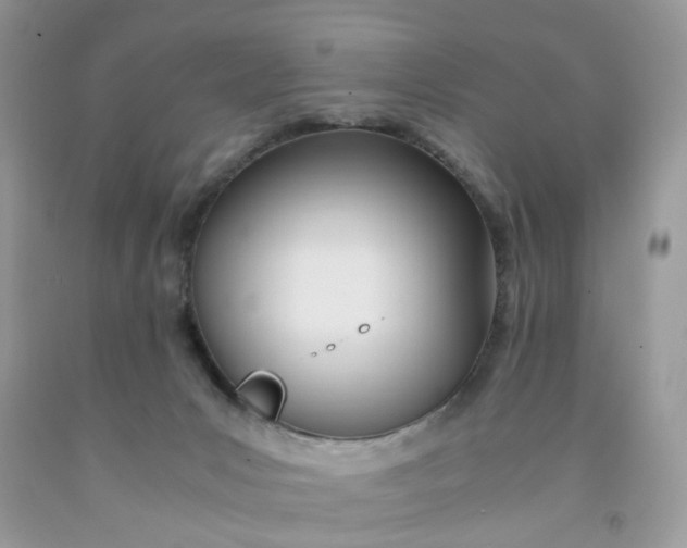 X0000091450031200709061744